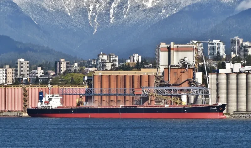 GREAT WISDOM Bulk Carrier IMO 9213545 photo 3