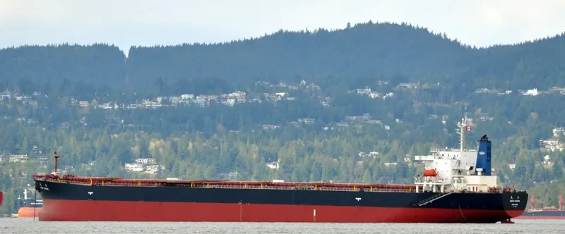 GREAT WISDOM Bulk Carrier IMO 9213545 photo 5
