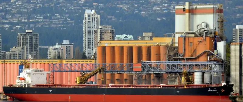 GREAT WISDOM Bulk Carrier IMO 9213545 photo 9