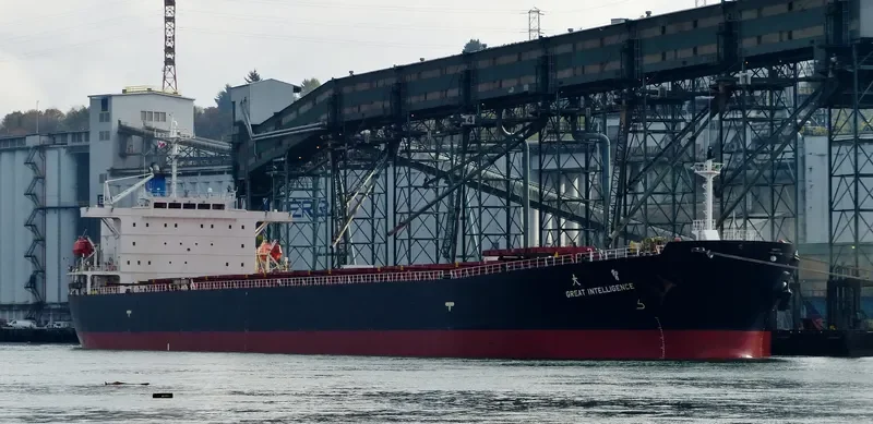 GREAT INTELLIGENCE Bulk Carrier IMO 9213557