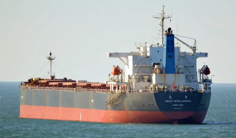 GREAT INTELLIGENCE Bulk Carrier IMO 9213557 photo 3