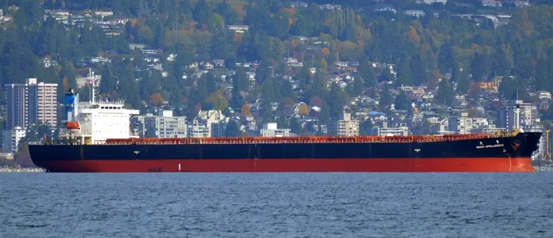 GREAT INTELLIGENCE Bulk Carrier IMO 9213557 photo 5