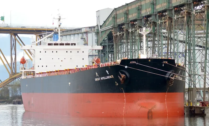 GREAT INTELLIGENCE Bulk Carrier IMO 9213557 photo 6
