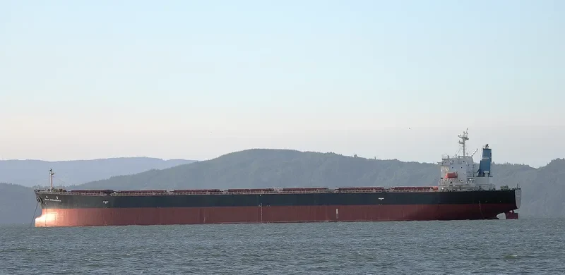 GREAT INTELLIGENCE Bulk Carrier IMO 9213557 photo 9