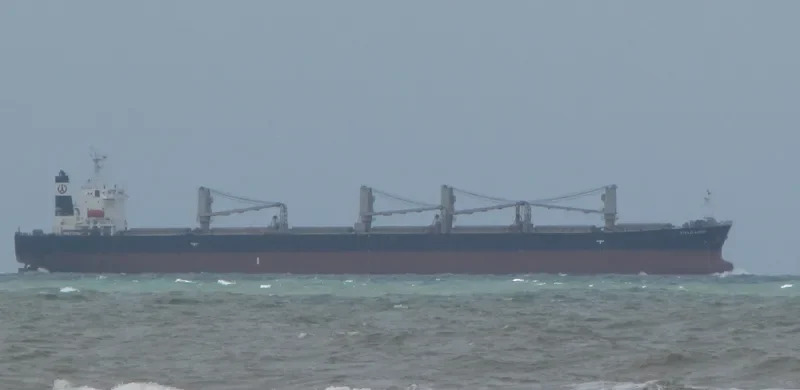 SRI WANDARI INDAH Bulk Carrier IMO 9213569