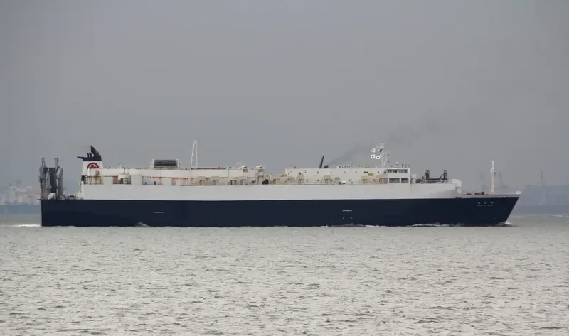 SHIN General Cargo IMO 9213832