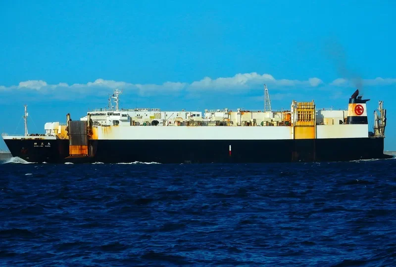 SHIN General Cargo IMO 9213832 photo 6