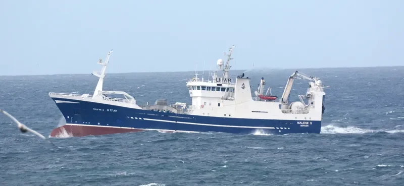 MALENE S General Cargo IMO 9213973 photo 2