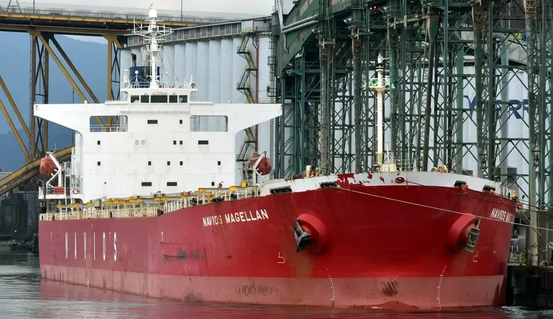 FLYING LOONG Bulk Carrier IMO 9214068 photo 6