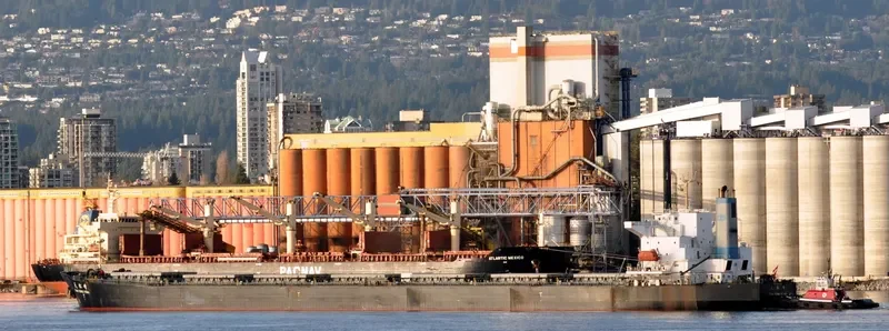 TIAN SONG FENG Bulk Carrier IMO 9214070