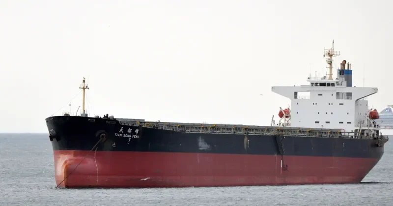 TIAN SONG FENG Bulk Carrier IMO 9214070 photo 4