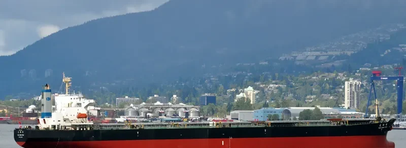 TIAN SONG FENG Bulk Carrier IMO 9214070 photo 7