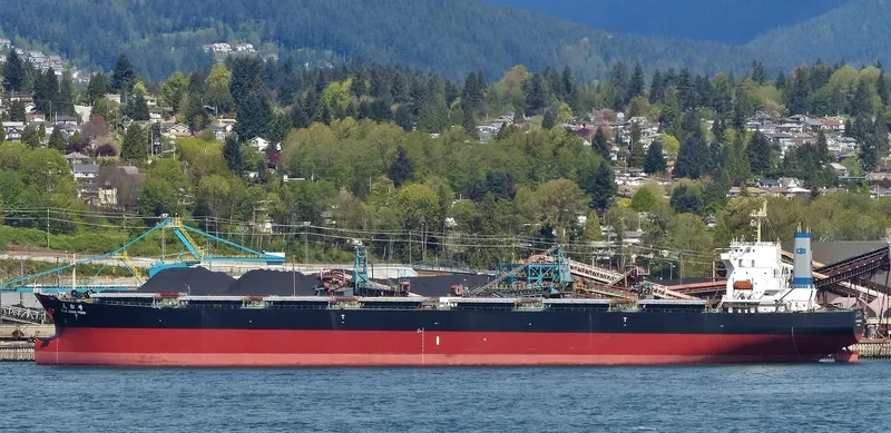 TIAN SONG FENG Bulk Carrier IMO 9214070 photo 9