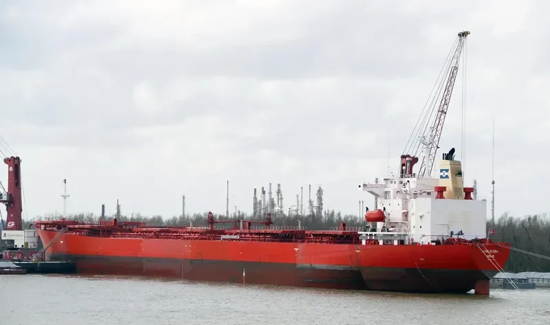 BARCARENA Bulk Carrier IMO 9214147 photo 2