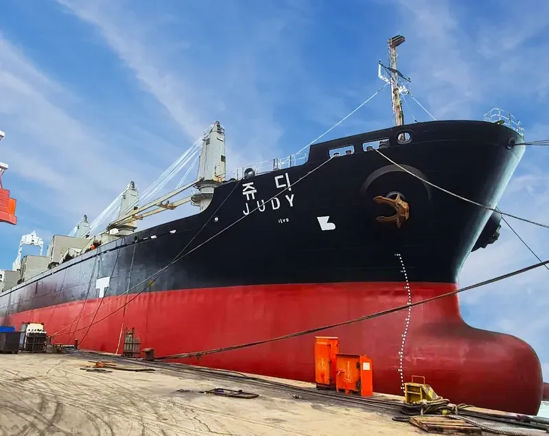 JUDY Bulk Carrier IMO 9214159 photo 10