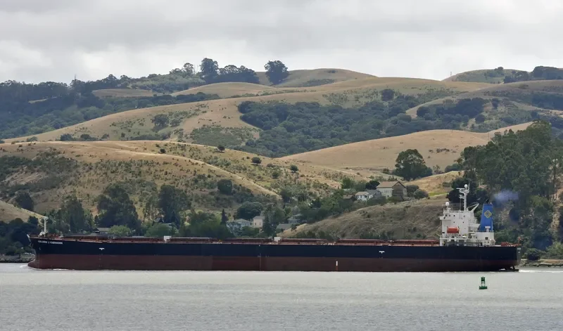 DA JIA Bulk Carrier IMO 9214161 photo 3