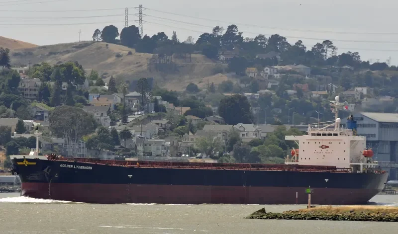 DA JIA Bulk Carrier IMO 9214161 photo 4
