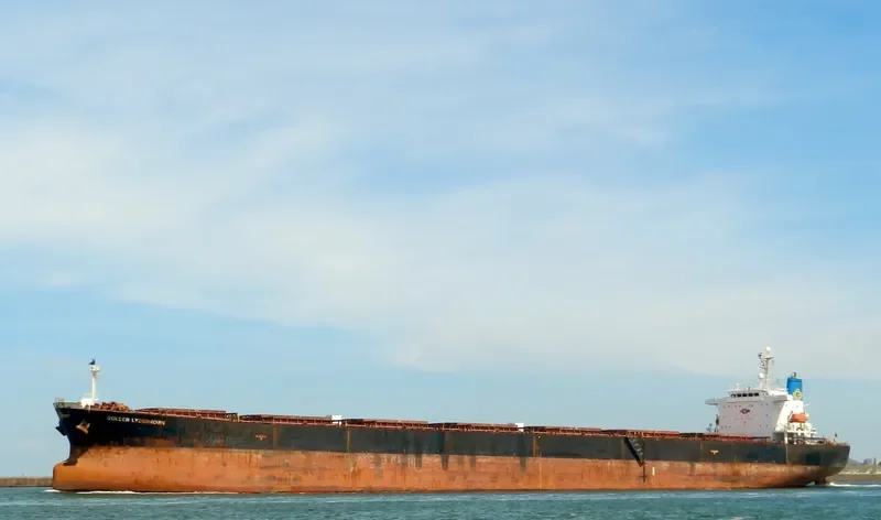 DA JIA Bulk Carrier IMO 9214161 photo 8
