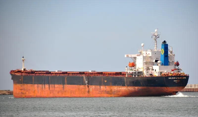 DA JIA Bulk Carrier IMO 9214161 photo 10