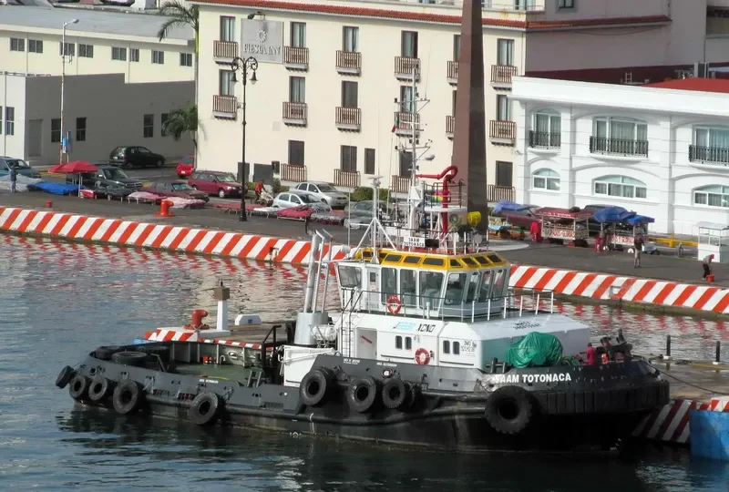 SAAM TOTONACA General Cargo IMO 9214238 photo 2
