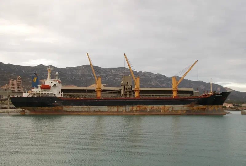 AILEEN Bulk Carrier IMO 9214252 photo 2