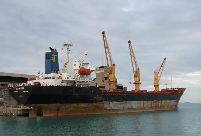AILEEN Bulk Carrier IMO 9214252 photo 3