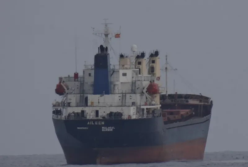 AILEEN Bulk Carrier IMO 9214252 photo 9