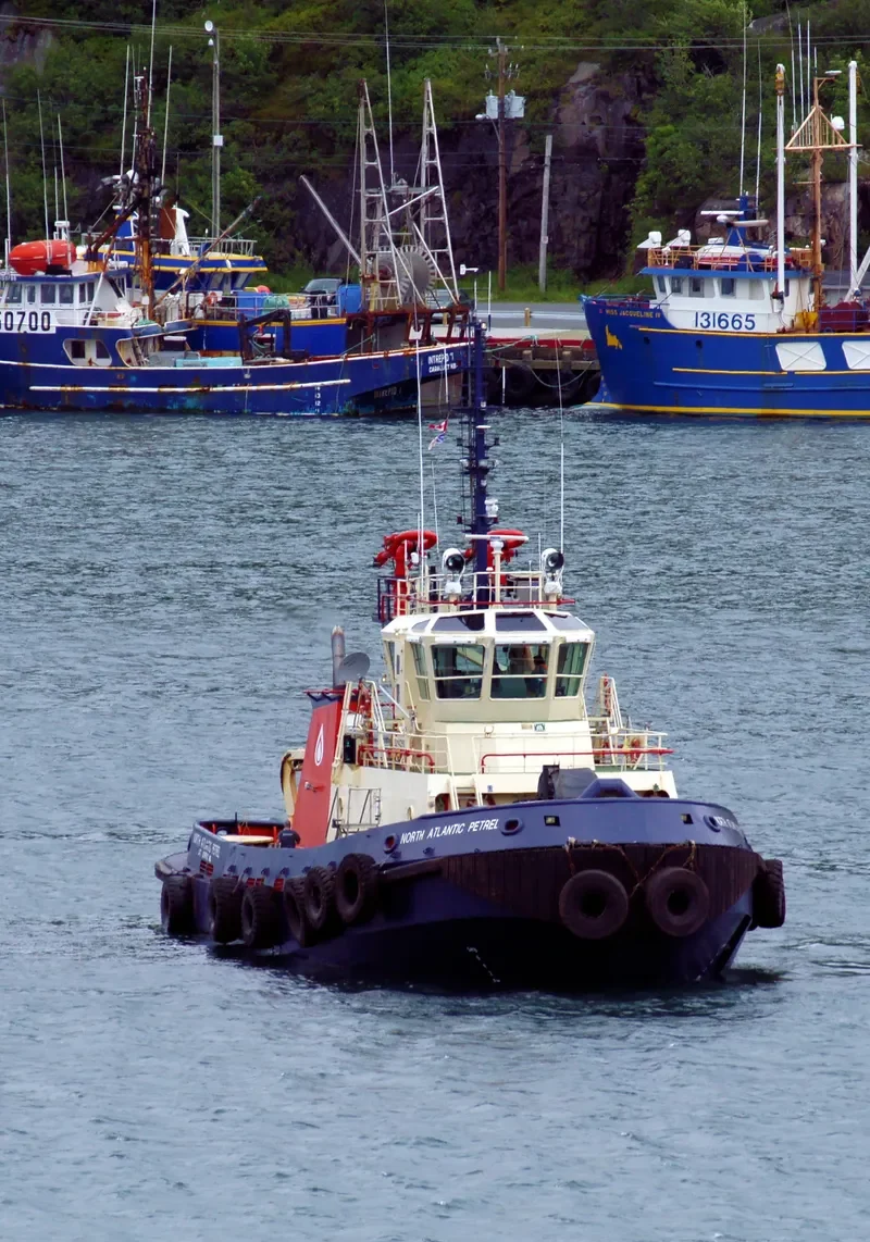 NORTH ATLANTIC PETREL General Cargo IMO 9214290