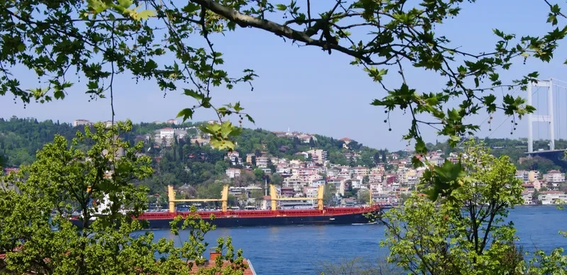 AURORA CHRISTINE Bulk Carrier IMO 9214862 photo 4