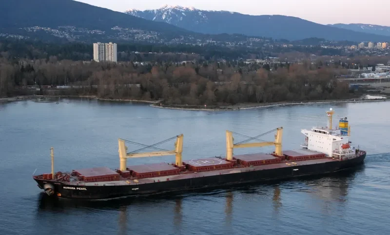 AURORA CHRISTINE Bulk Carrier IMO 9214862 photo 7