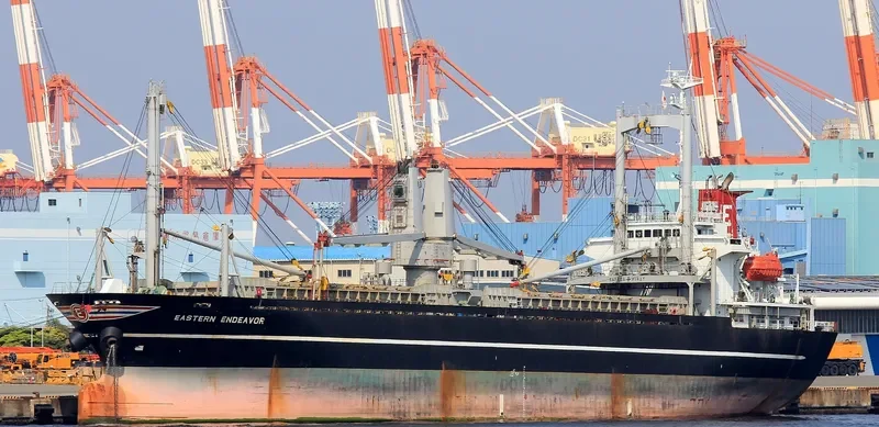 PEGASUS 03 General Cargo IMO 9214977 photo 3