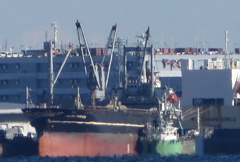 PEGASUS 03 General Cargo IMO 9214977 photo 6