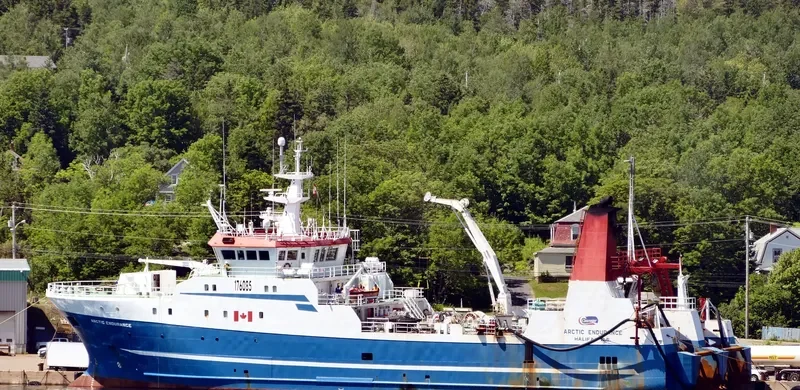ARCTIC ENDURANCE General Cargo IMO 9215725 photo 2
