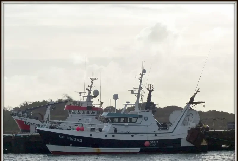 NAONED General Cargo IMO 9216080