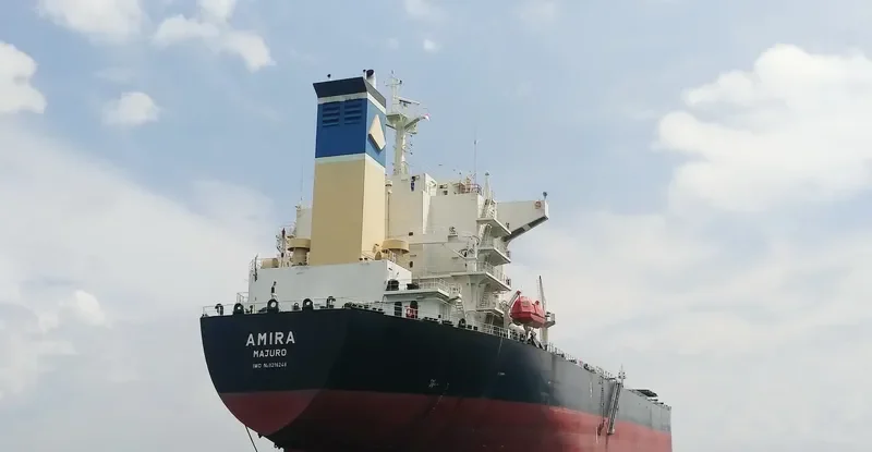 ORIENTAL PROMOTION Bulk Carrier IMO 9216248 photo 2