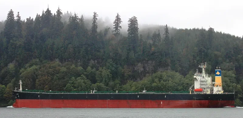 ORIENTAL PROMOTION Bulk Carrier IMO 9216248 photo 9