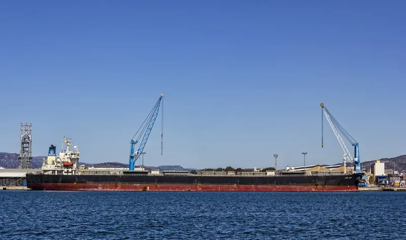 COS JOY Bulk Carrier IMO 9216444