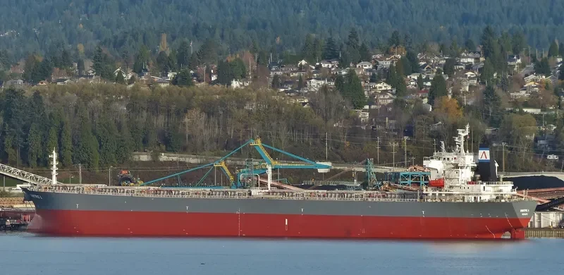 JIE LI Bulk Carrier IMO 9216456 photo 7