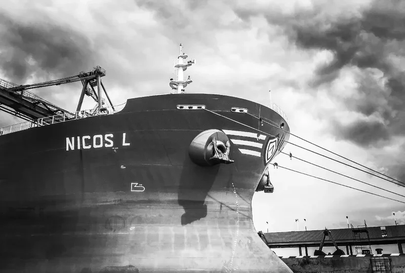 GOLDEN L Bulk Carrier IMO 9216468 photo 2