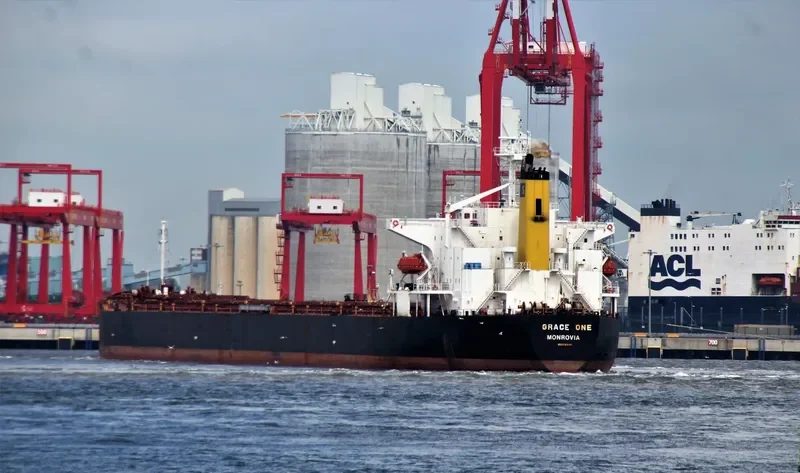 GRACE MILD Bulk Carrier IMO 9216640