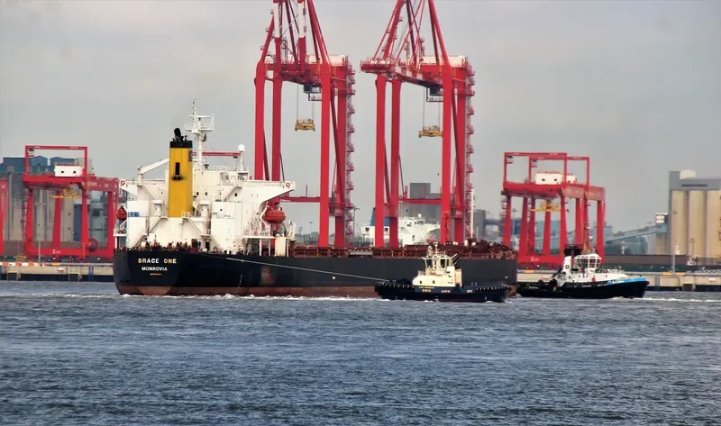 GRACE MILD Bulk Carrier IMO 9216640 photo 2
