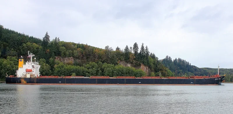 GRACE MILD Bulk Carrier IMO 9216640 photo 5