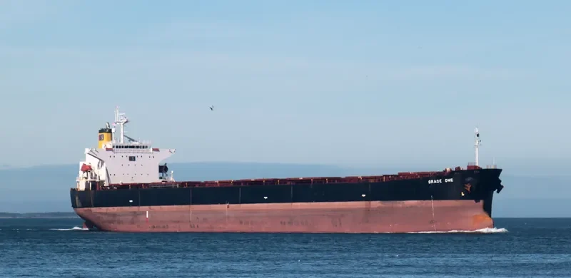 GRACE MILD Bulk Carrier IMO 9216640 photo 6
