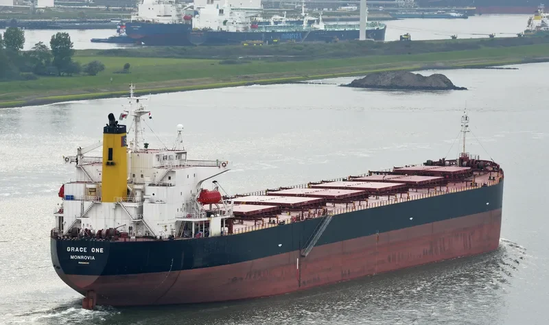 GRACE MILD Bulk Carrier IMO 9216640 photo 8