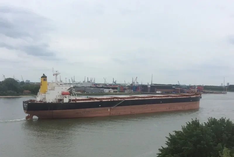 GRACE MILD Bulk Carrier IMO 9216640 photo 9