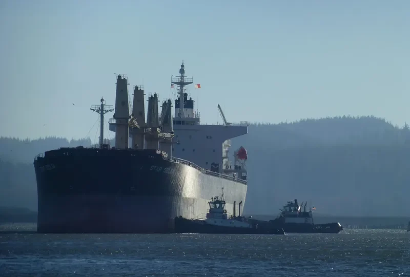 PRINCE M Bulk Carrier IMO 9216808 photo 3