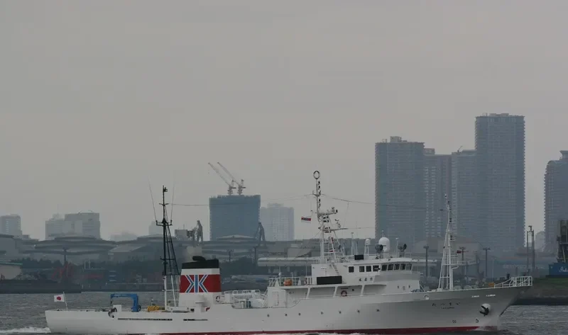 TATSUMAI General Cargo IMO 9216896