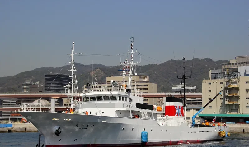 TATSUMAI General Cargo IMO 9216896 photo 2