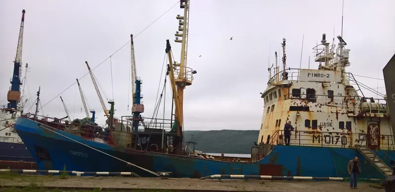 PINRO 2 General Cargo IMO 9217008