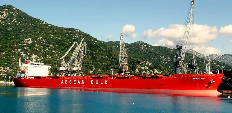 NAN XIN 9 Bulk Carrier IMO 9217216 photo 7